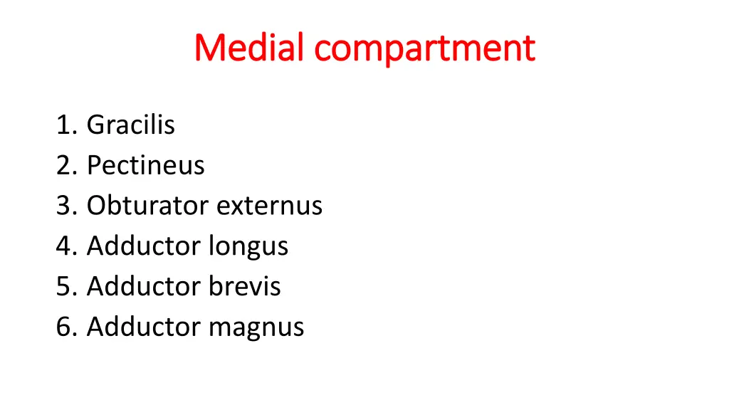 medial compartment medial compartment