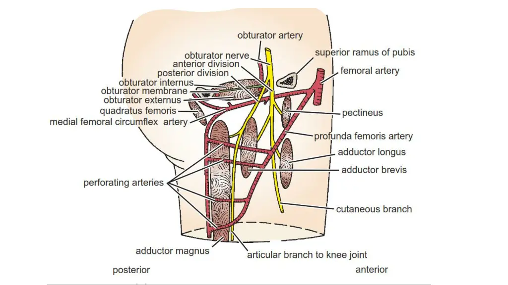 slide16