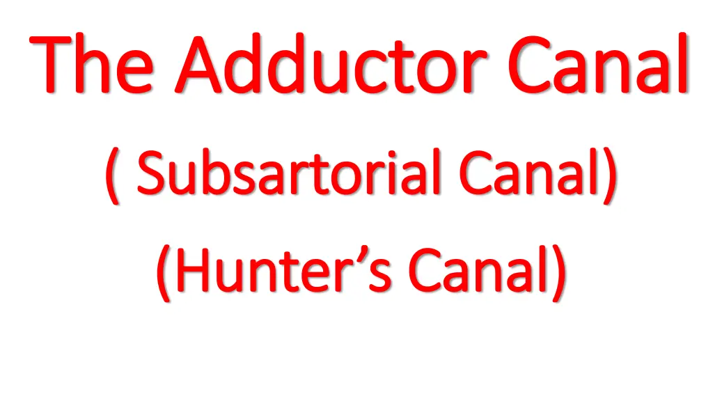 the adductor canal the adductor canal