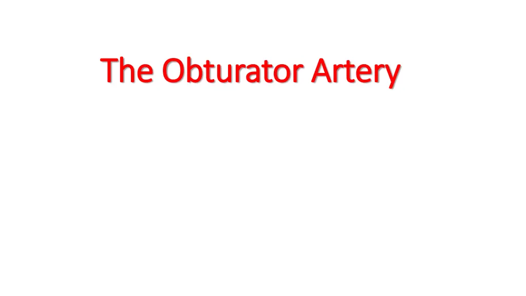 the obturator artery the obturator artery