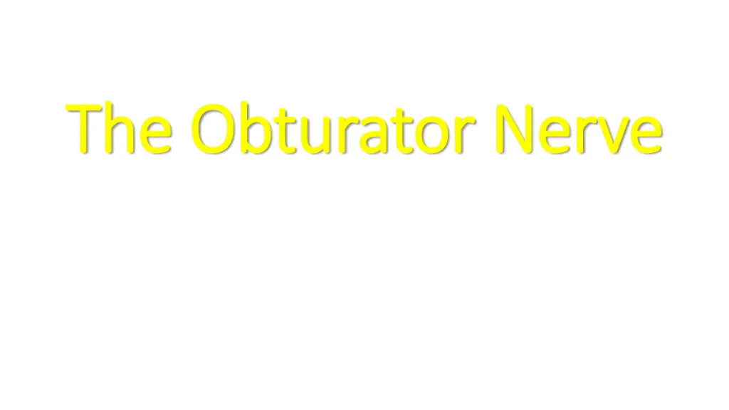 the obturator nerve the obturator nerve