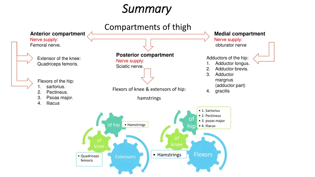 summary summary