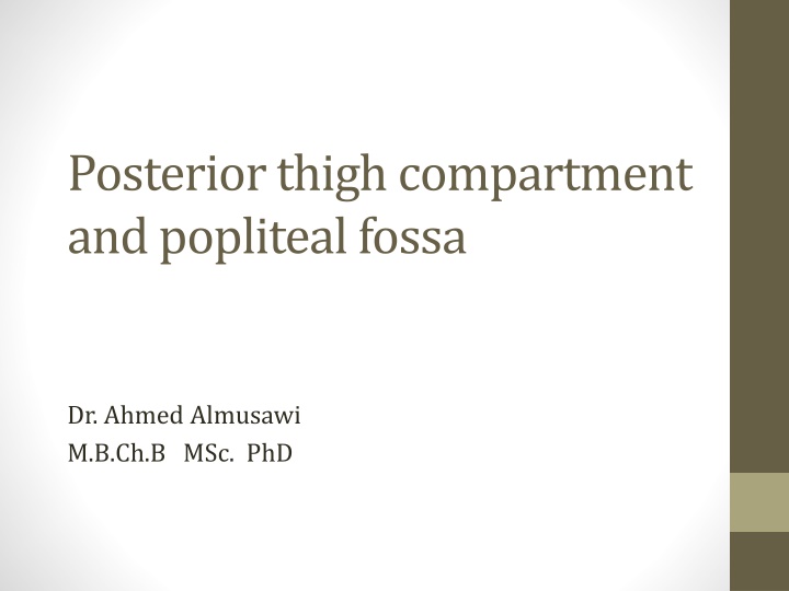 posterior thigh compartment and popliteal fossa