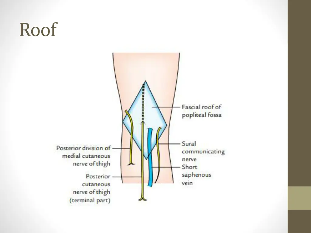 slide13