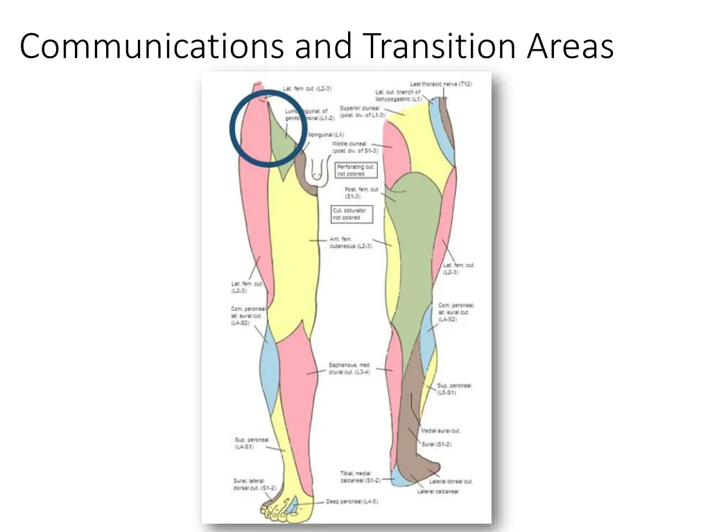 communications and transition areas