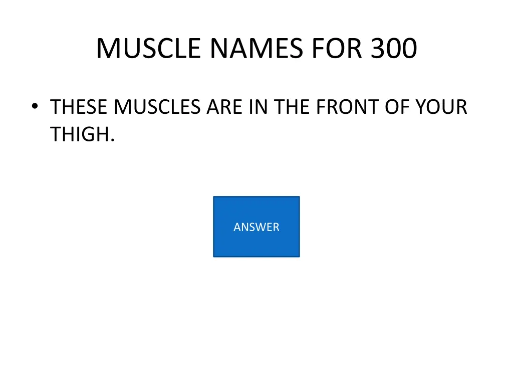 muscle names for 300