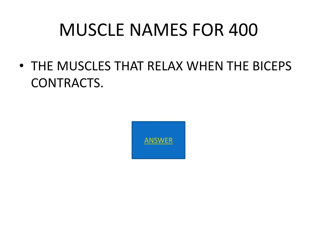 muscle names for 400