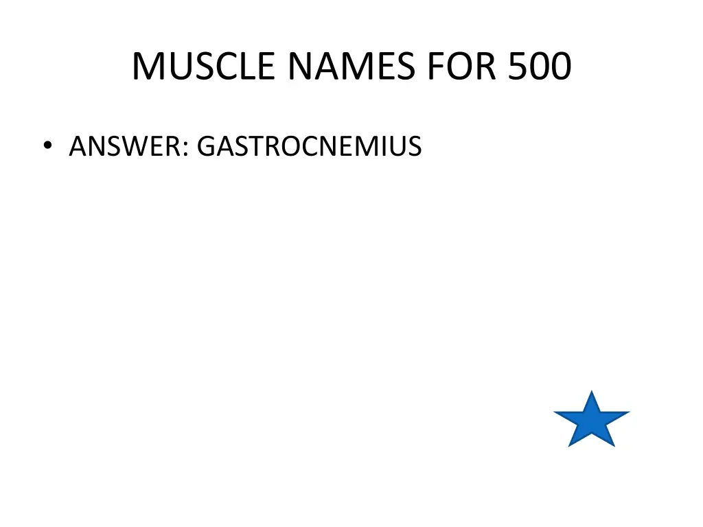 muscle names for 500 1