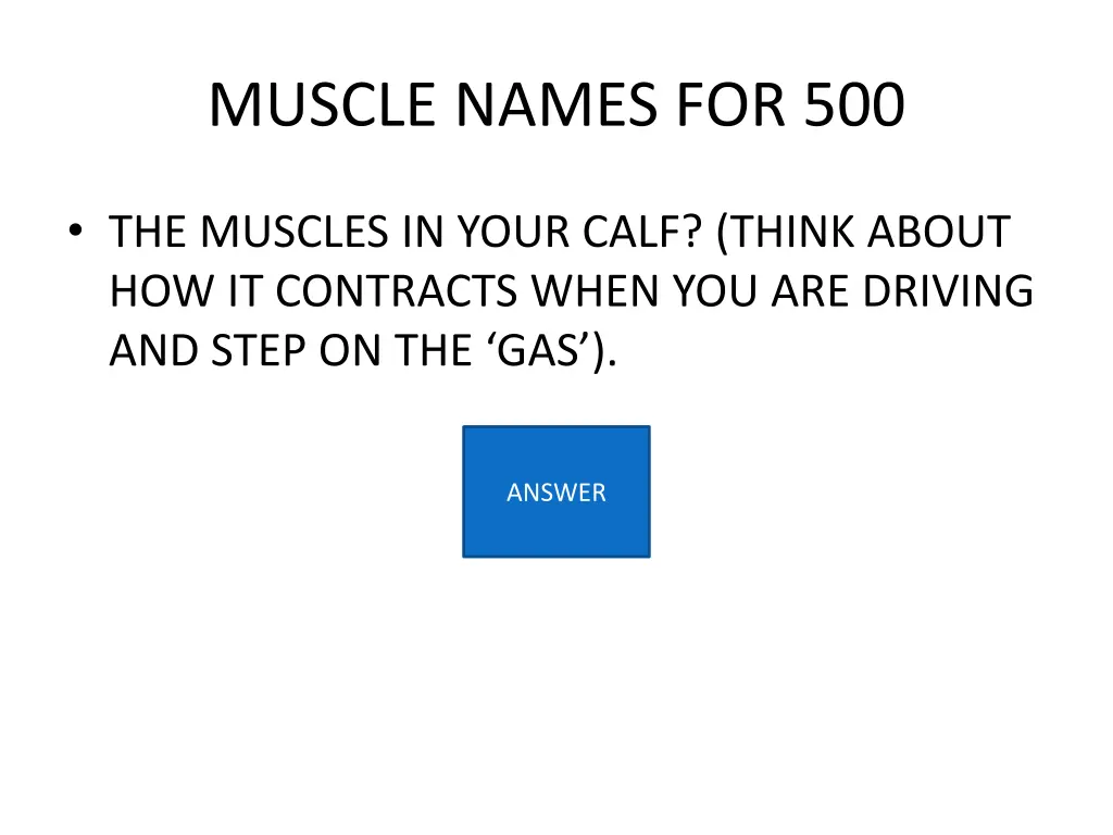 muscle names for 500