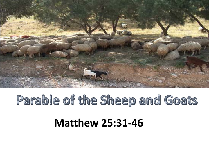 parable of the sheep and goats