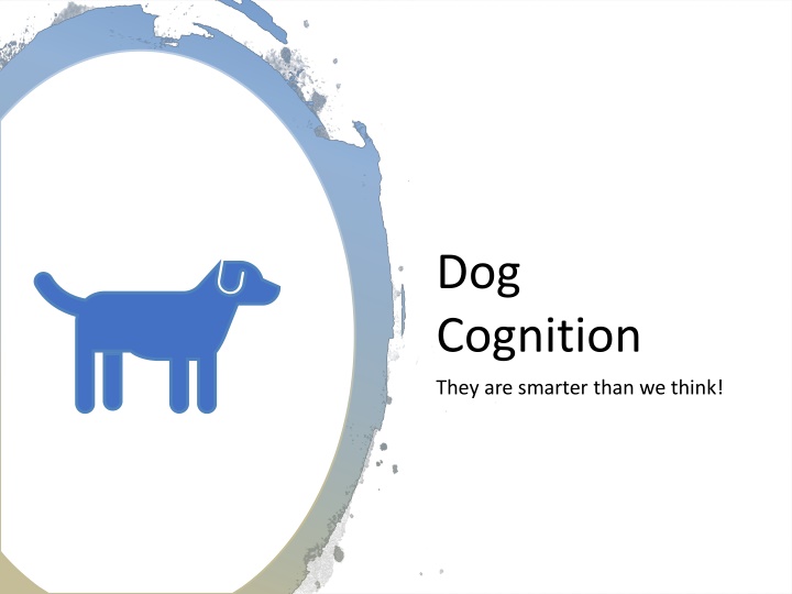 dog cognition