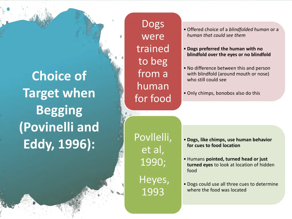 dogs were trained to beg from a human for food