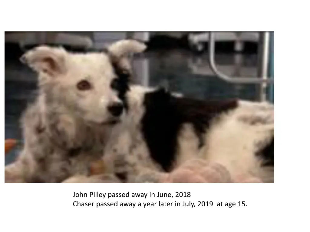 john pilley passed away in june 2018 chaser