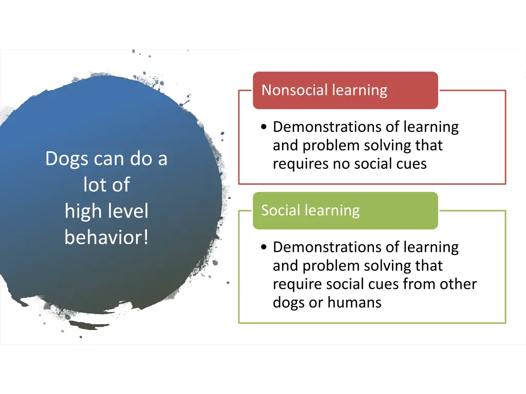 nonsocial learning