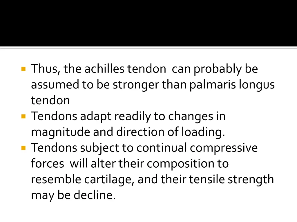 thus the achilles tendon can probably be assumed