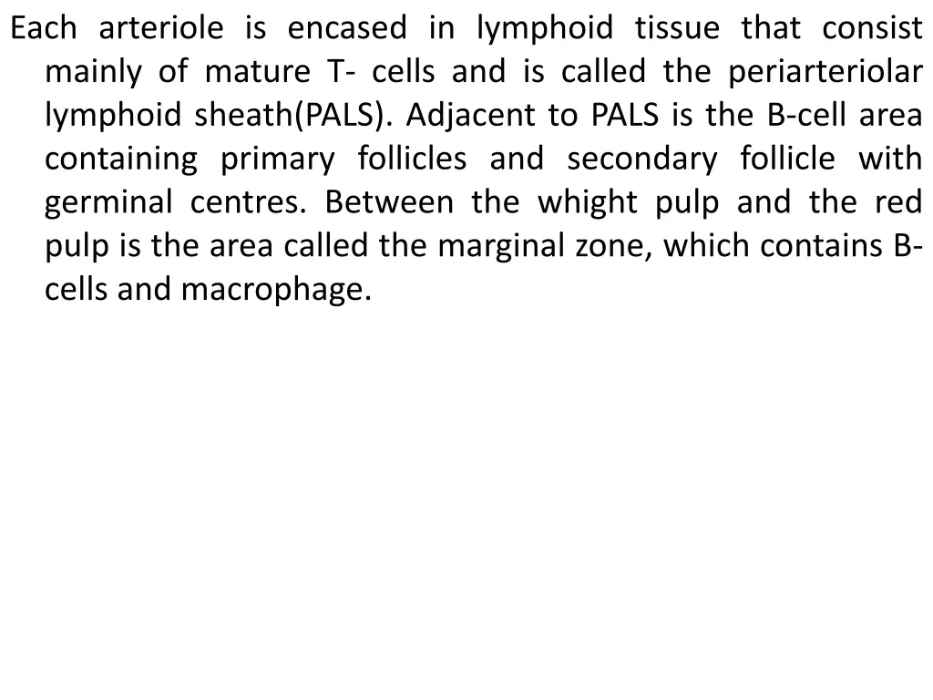 each arteriole is encased in lymphoid tissue that