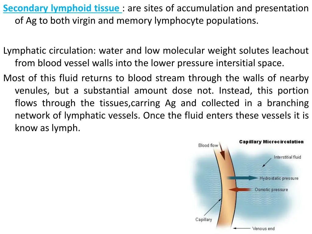 secondary lymphoid tissue are sites