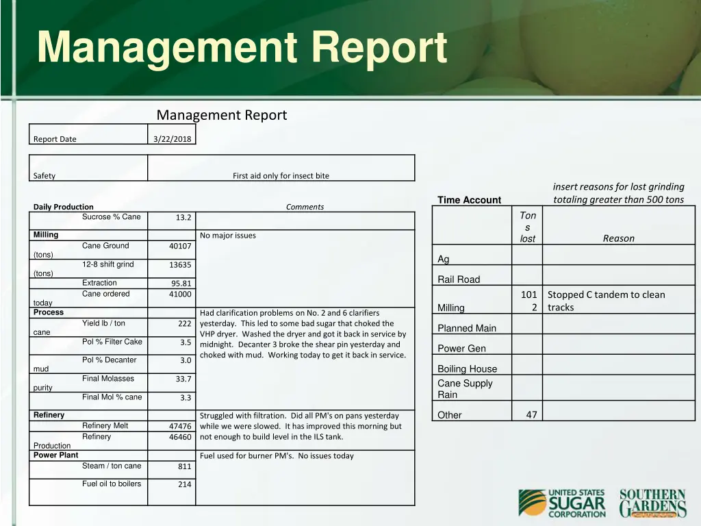 management report