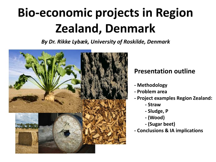 bio economic projects in region zealand denmark