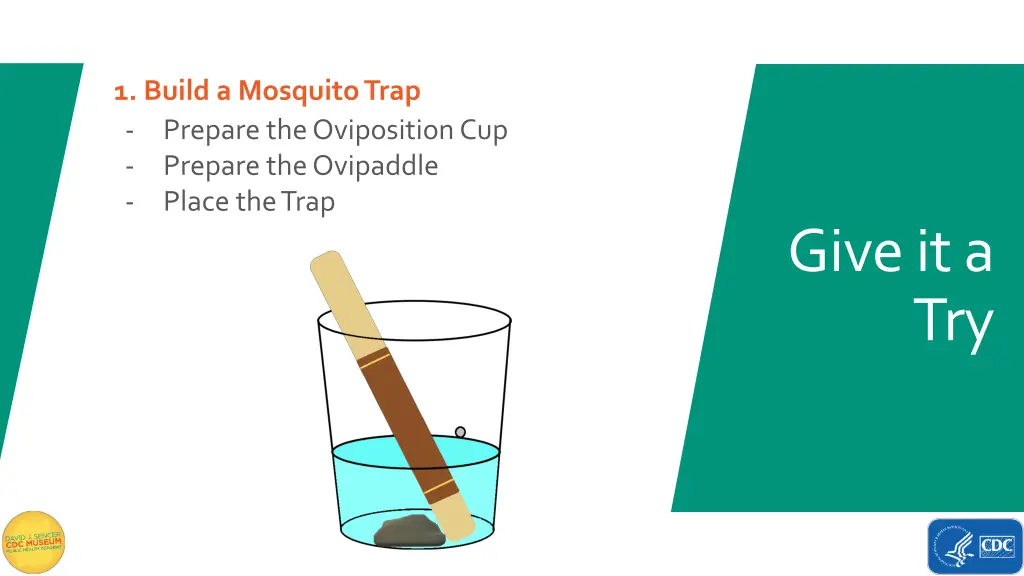 1 build a mosquito trap prepare the oviposition