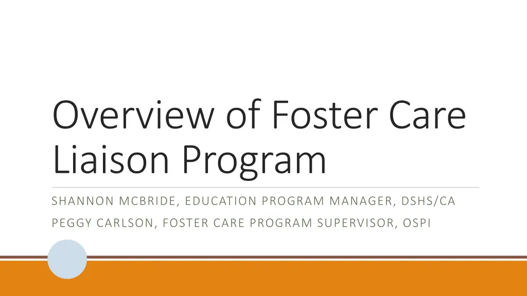 overview of foster care liaison program