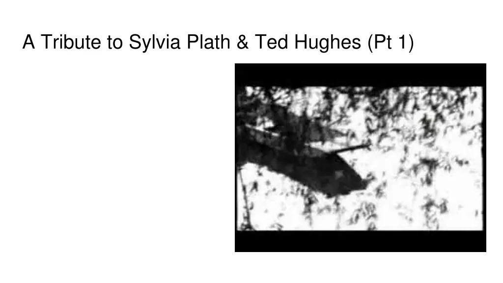 a tribute to sylvia plath ted hughes pt 1