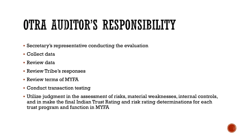 otra auditor s responsibility