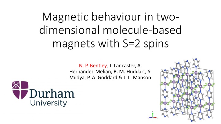 magnetic behaviour in two dimensional molecule