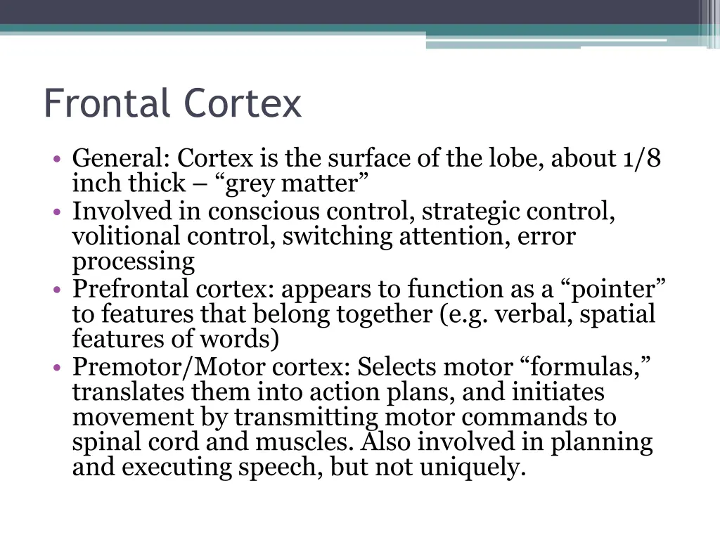 frontal cortex