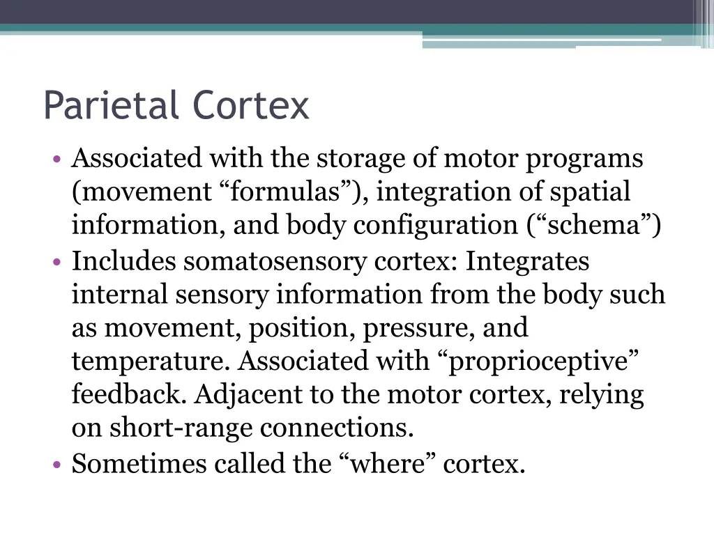 parietal cortex