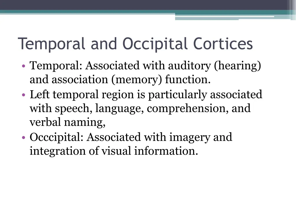 temporal and occipital cortices