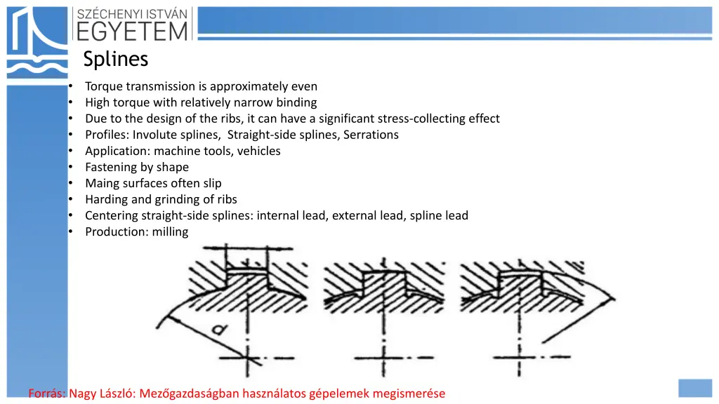 splines 1