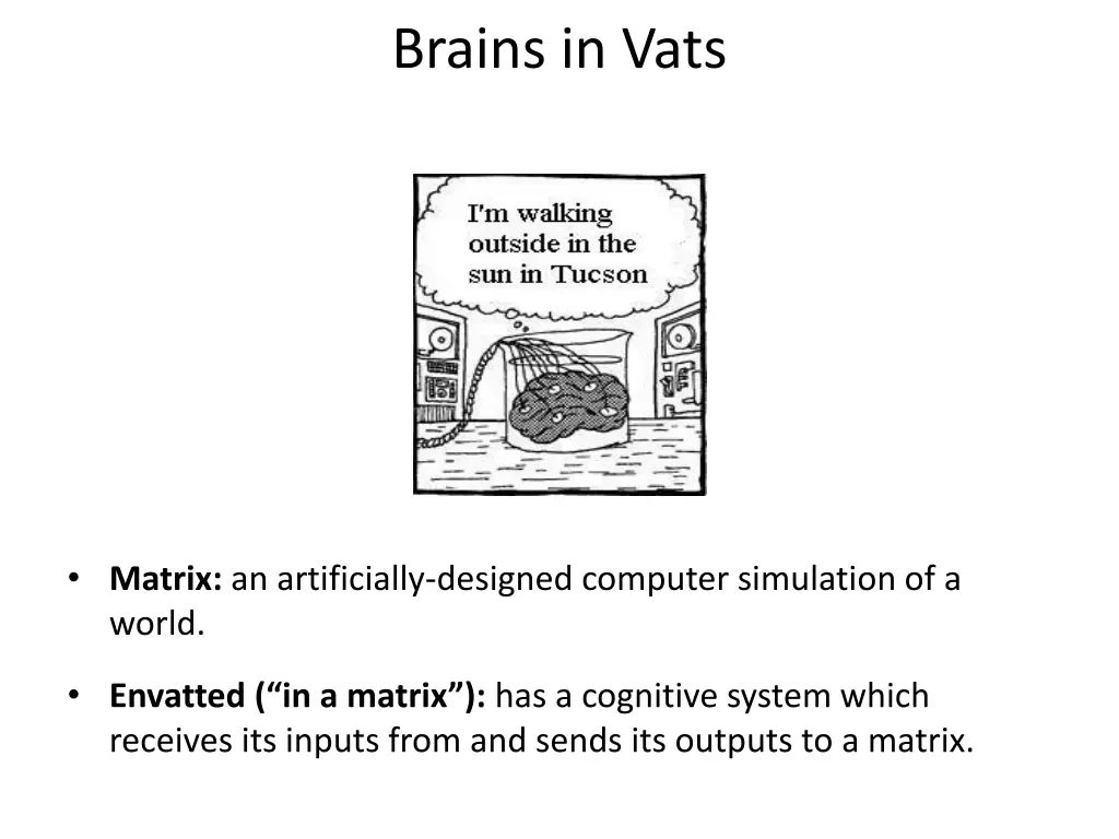 brains in vats