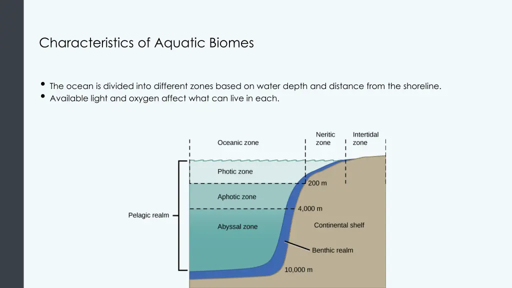 characteristics of aquatic biomes