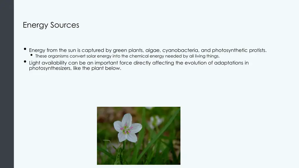 energy sources