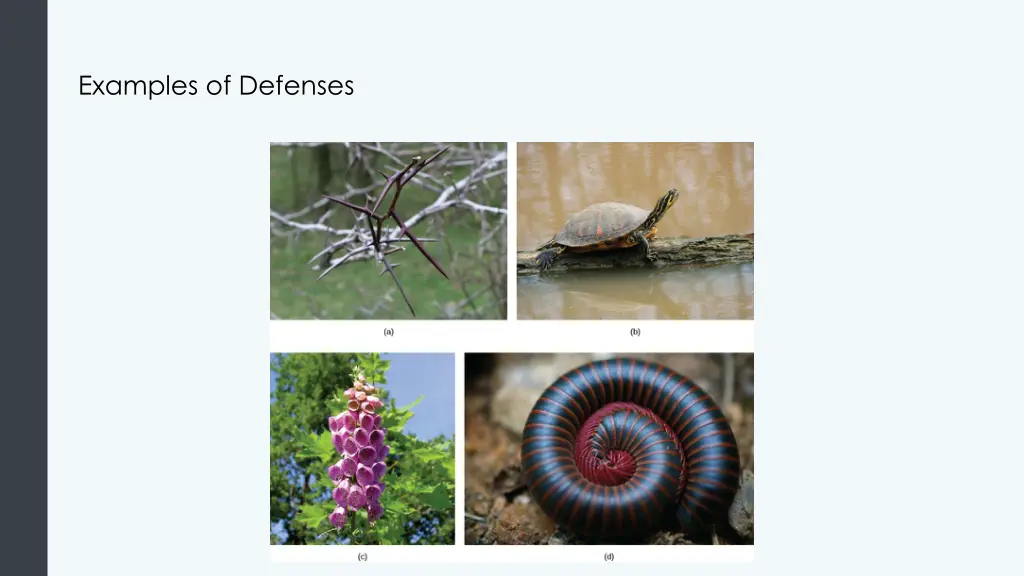 examples of defenses