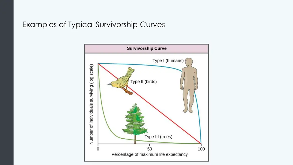 examples of typical survivorship curves