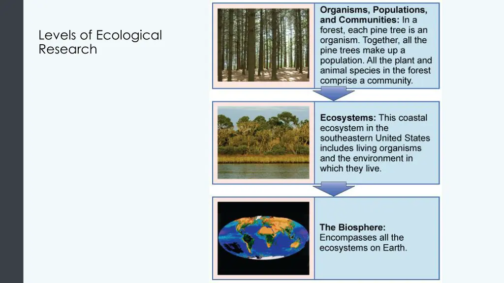 levels of ecological research