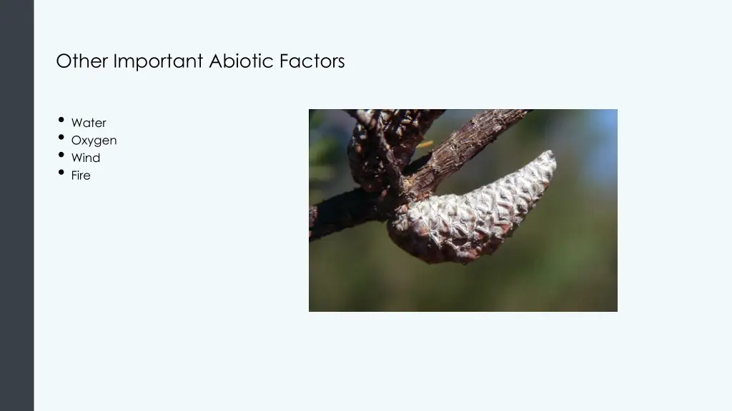 other important abiotic factors