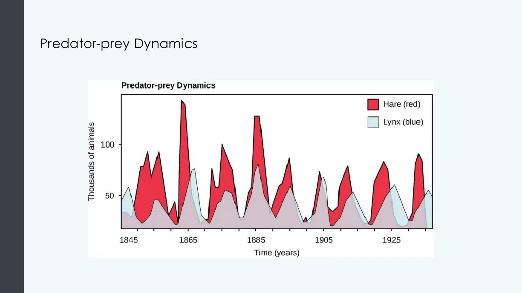 predator prey dynamics