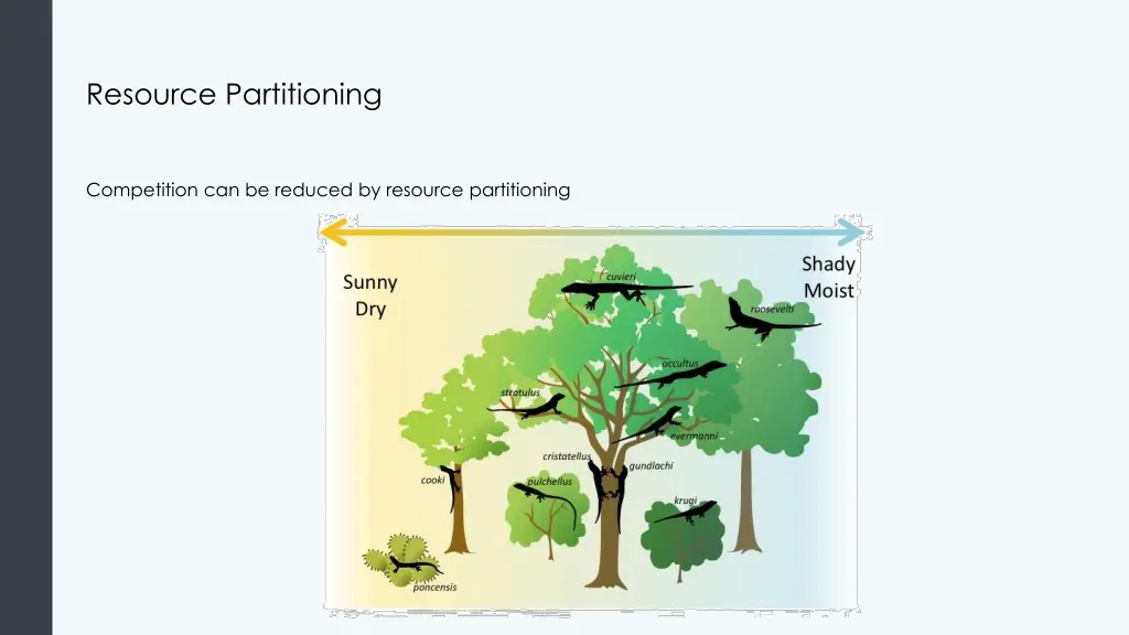 resource partitioning