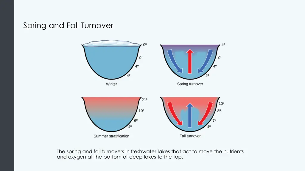 spring and fall turnover