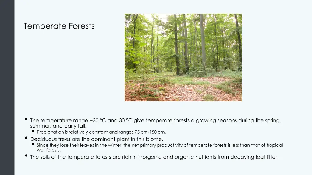 temperate forests