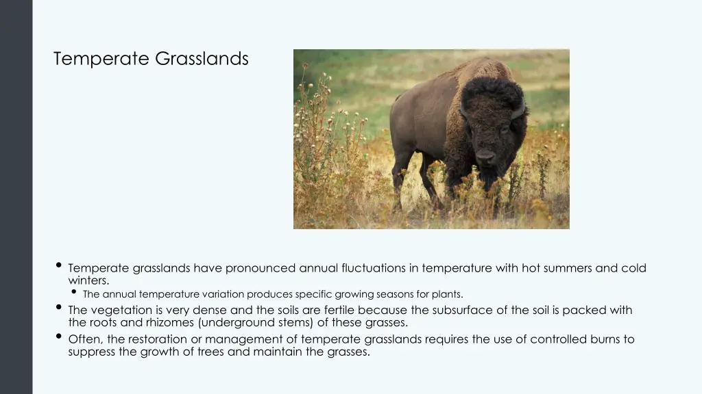 temperate grasslands