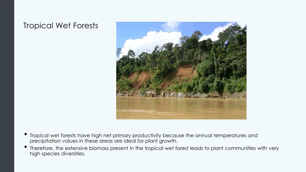 tropical wet forests