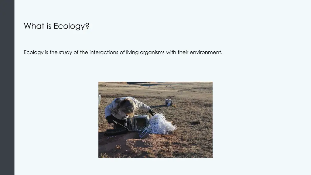 what is ecology