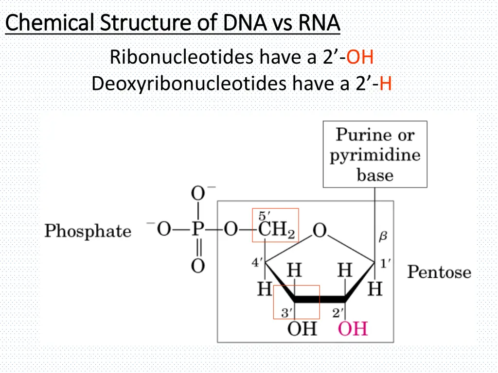 chemical structure of dna vs rna chemical