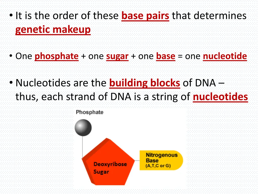 it is the order of these base pairs that