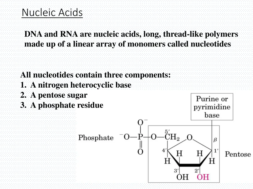 nucleic acids 1