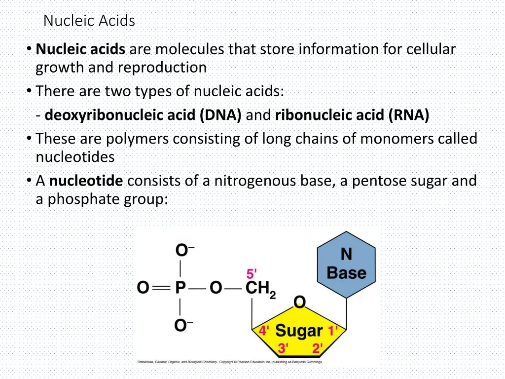 nucleic acids